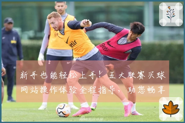 新手也能轻松上手！五大联赛买球网站操作体验全程指导，助您畅享精彩赛事。