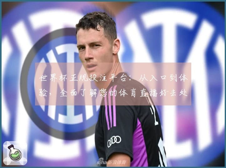 世界杯正规投注平台：从入口到体验，全面了解您的体育直播好去处
