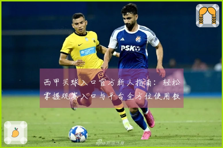 西甲买球入口官方新人指南：轻松掌握观赛入口与平台全方位使用教程