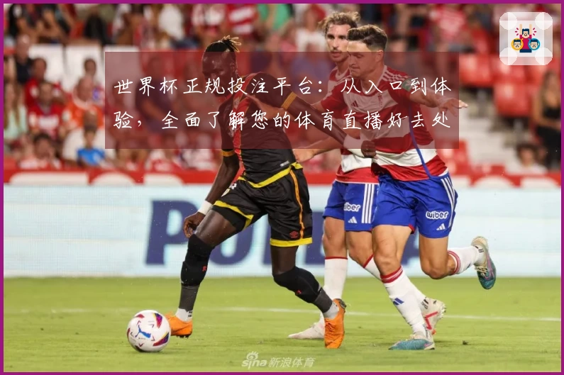 世界杯正规投注平台：从入口到体验，全面了解您的体育直播好去处