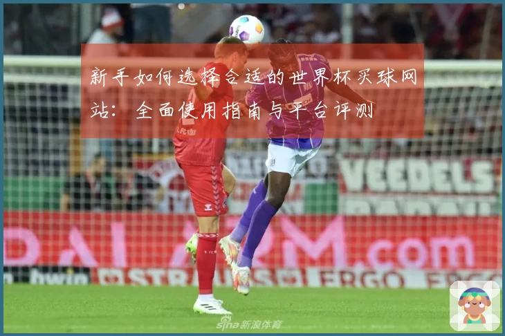 新手如何选择合适的世界杯买球网站：全面使用指南与平台评测