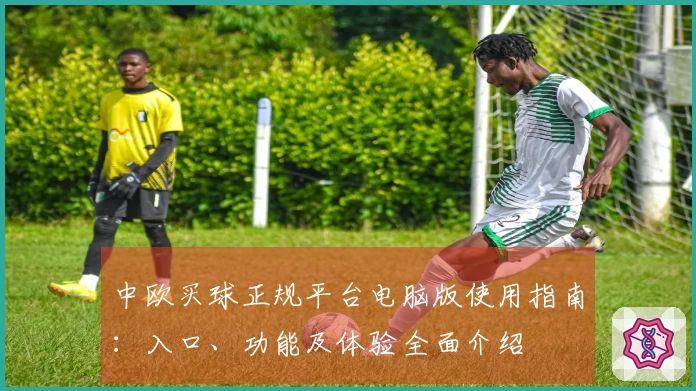 中欧买球正规平台电脑版使用指南：入口、功能及体验全面介绍