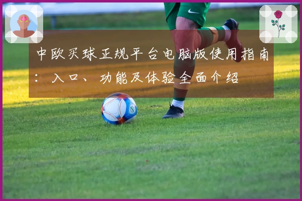 中欧买球正规平台电脑版使用指南:入口、功能及体验全面介绍
